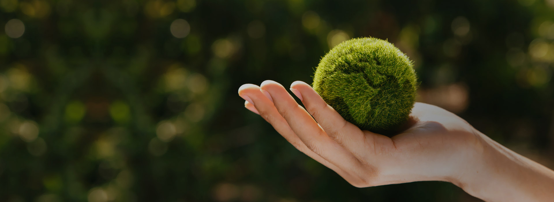 Sustainable Development